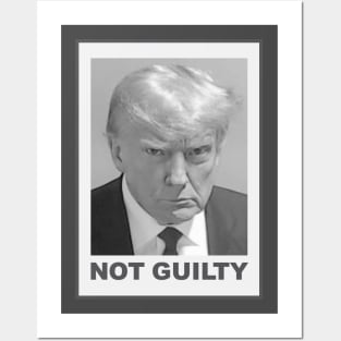 Trump Mug Shot Not Guilty Posters and Art